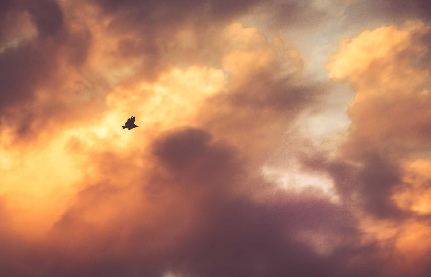 Commercial electrical upgrade project